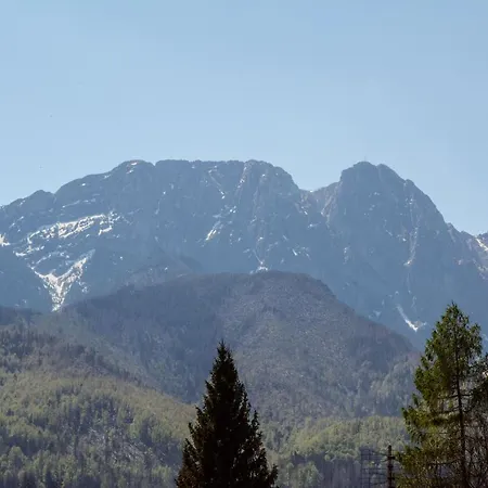 Goscinne Pod Gubalowka Проживание в семье Закопане