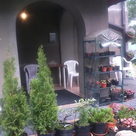 Goscinne Pod Gubalowka Закопане